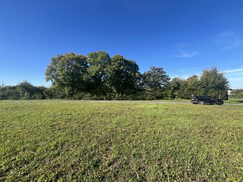 Vente Terrain ASNIERES LA GIRAUD - -951 m² - (17400)
