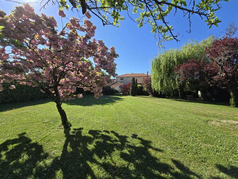Vente Maison VILLENEUVE LA COMTESSE - 8 pièces -246 m² - (17330)