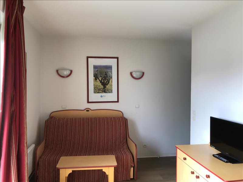 Vente Appartement CASTELJALOUX - 1 pièce -29 m² - (47700)