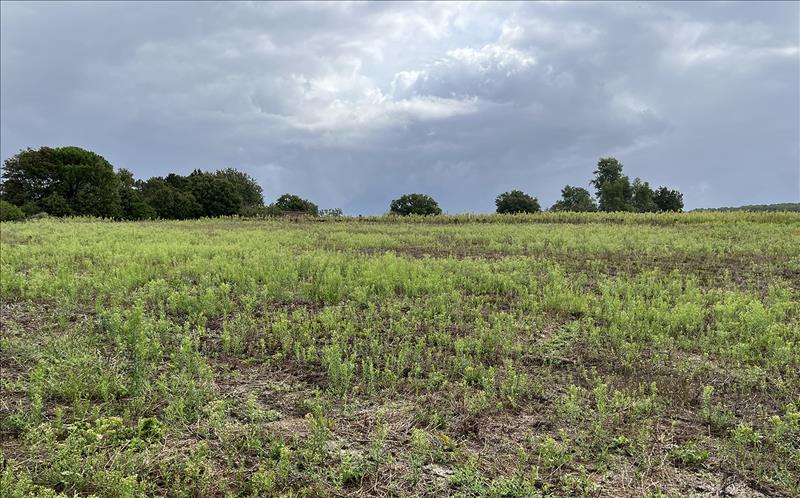 Vente Terrain CAUBEYRES - -2602 m² - (47160)