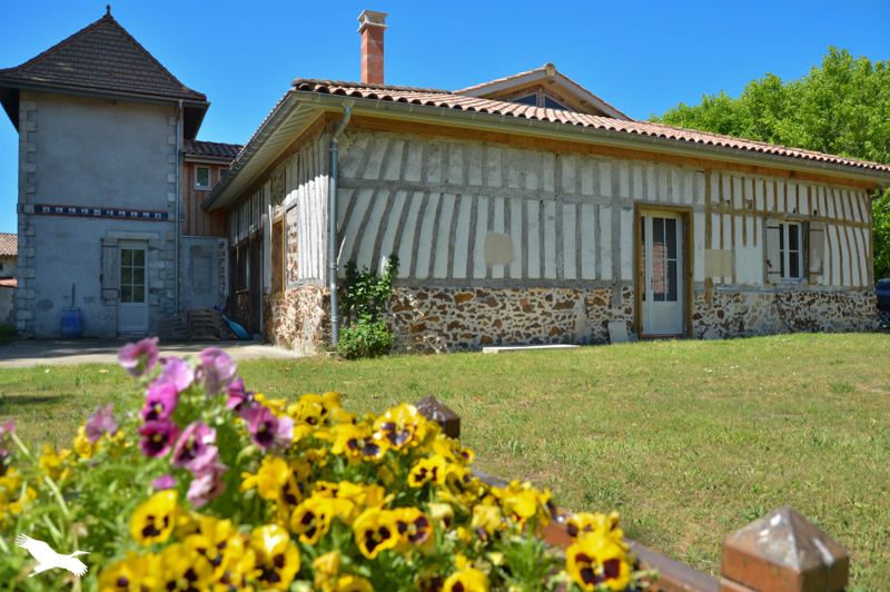 Vente Maison ALLONS - 11 pièces -495 m² - (47420)