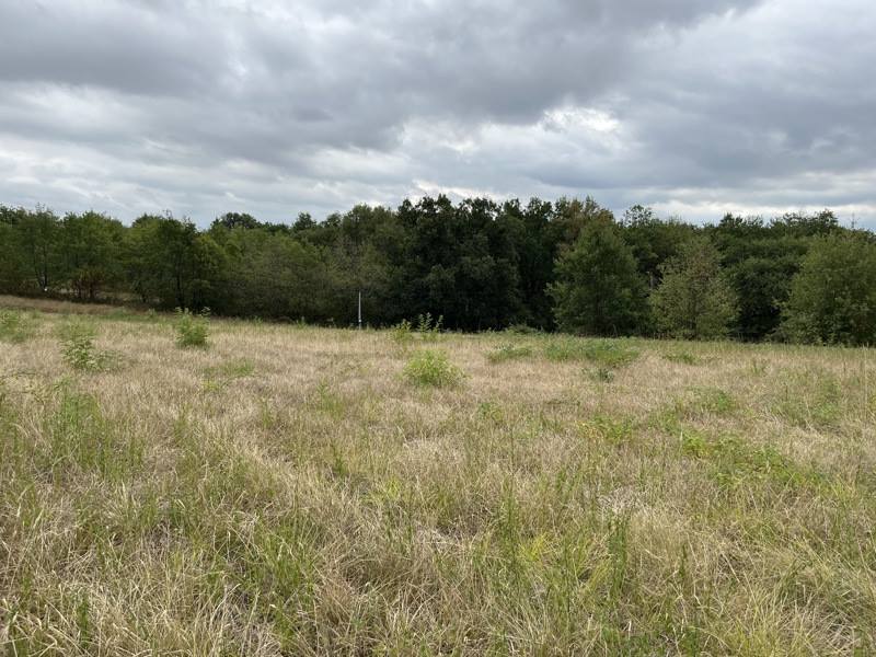 Vente Terrain LABASTIDE CASTEL AMOUROUX - -1338 m² - (47250)