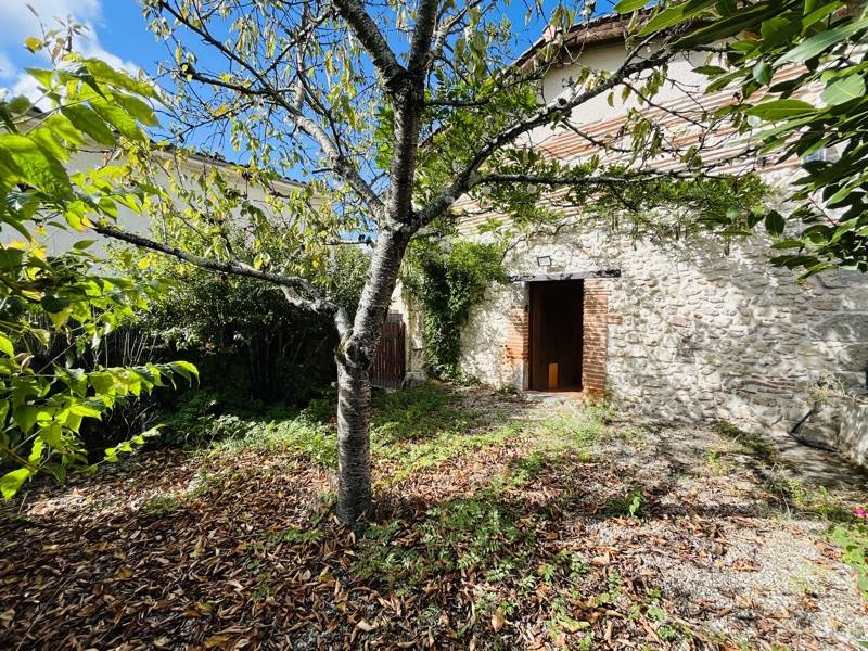 Vente Maison Villefranche-du-Queyran - 8 pièces -191 m² - (47160)