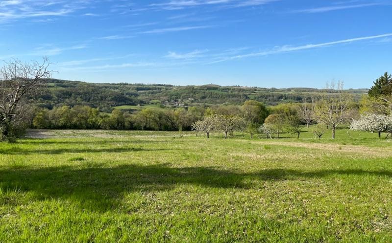 Vente Terrain FOULAYRONNES - -3100 m² - (47510)