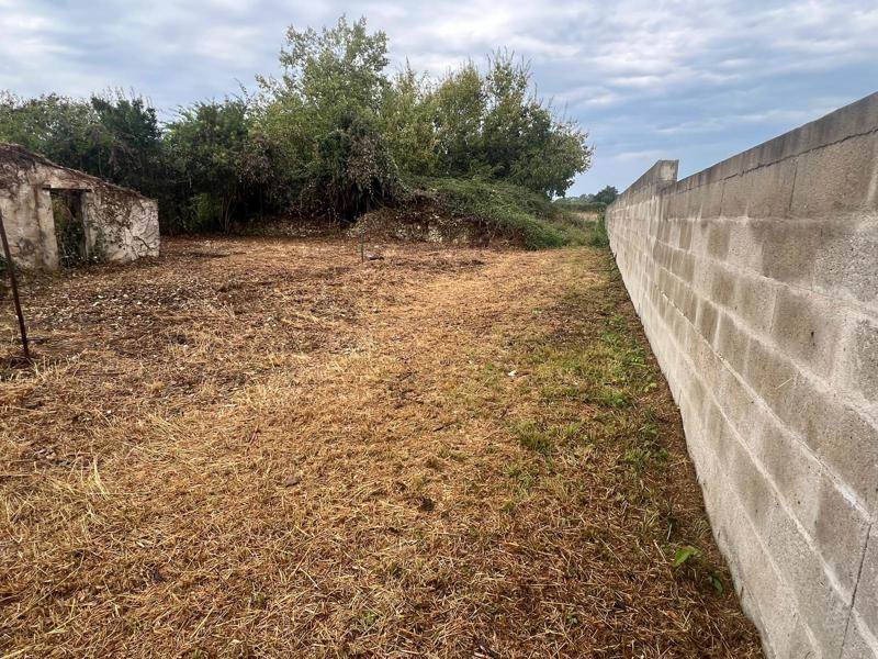 Vente Maison CADILLAC SUR GARONNE - 1 pièce -77 m² - (33410)