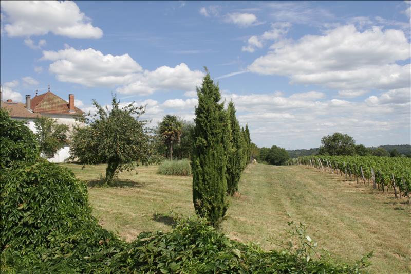Vente Maison SEMENS - 12 pièces -424 m² - (33490)