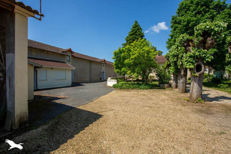 Vente Maison CADILLAC SUR GARONNE - 6 pièces -240 m² - (33410)