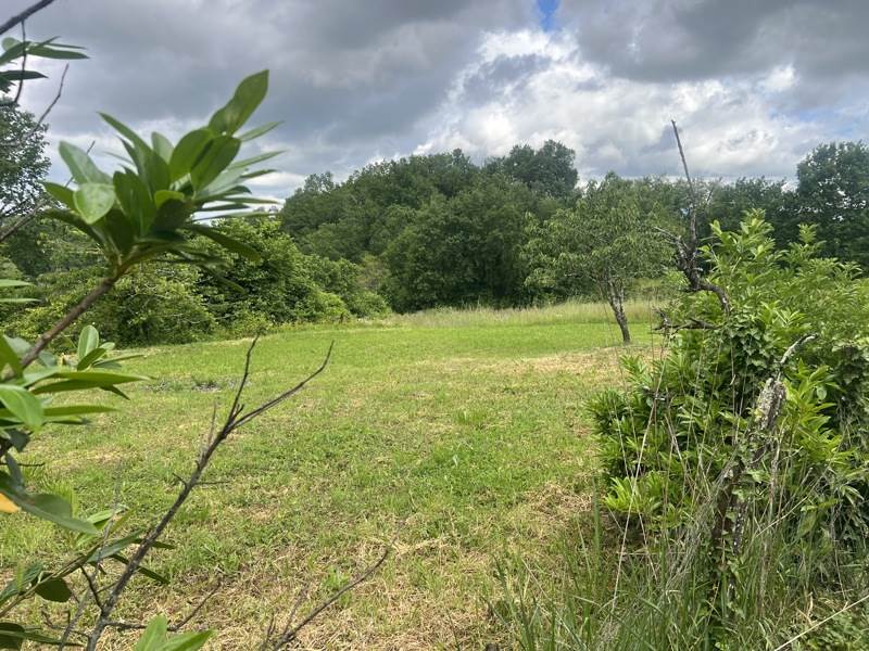 Vente Maison LOUPIAC - 6 pièces -112 m² - (33410)