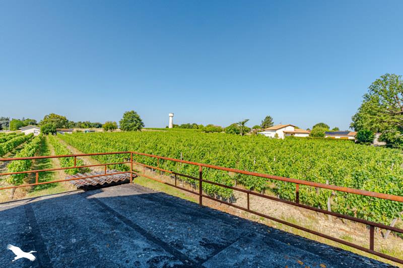 Vente Maison CARDAN - 6 pièces -187 m² - (33410)