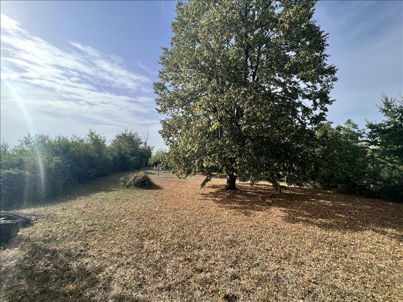 Vente Terrain ST BAUDEL - -2230 m² - (18160)