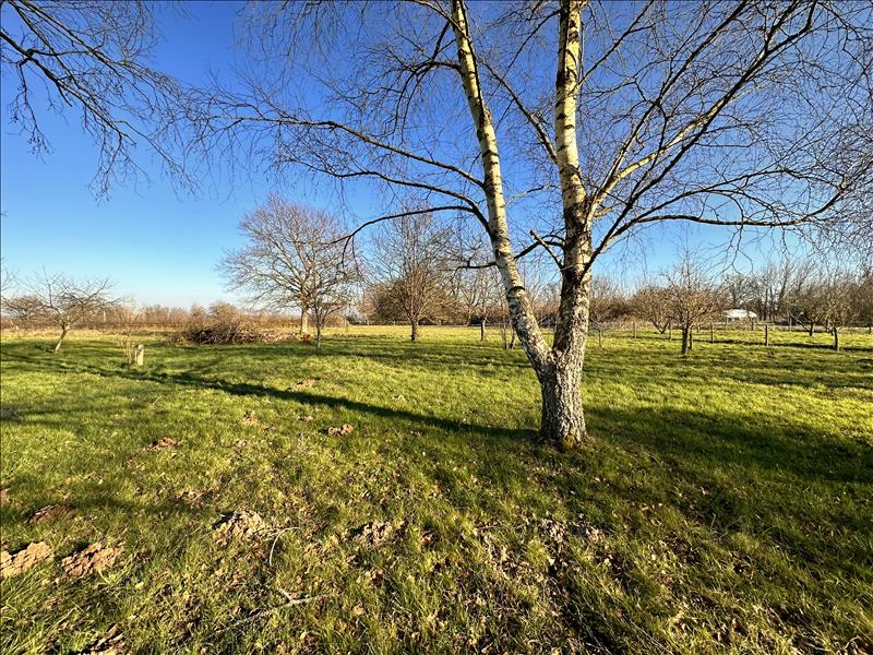 Vente Maison ST HILAIRE EN LIGNIERES - 4 pièces -115 m² - (18160)