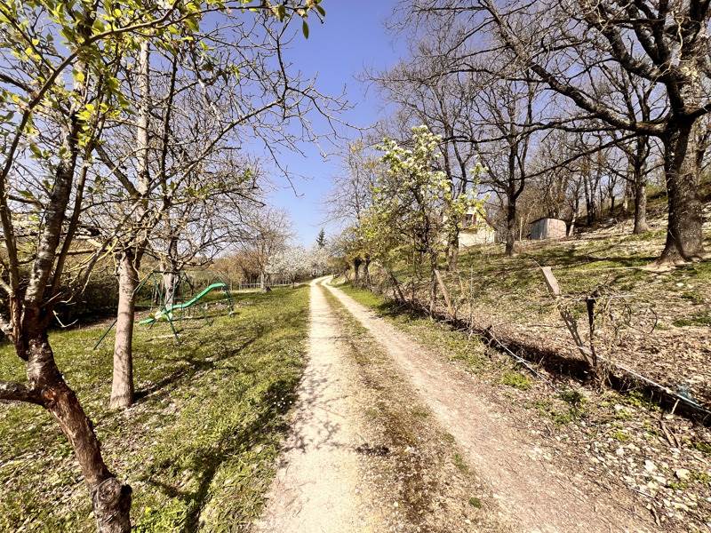 Vente Maison CHATEAUNEUF SUR CHER - 7 pièces -172 m² - (18190)