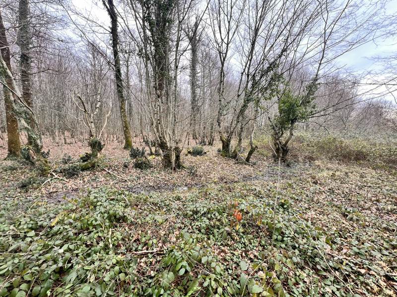 Vente Maison ST CHRISTOPHE EN BOUCHERIE - 3 pièces -86 m² - (36400)
