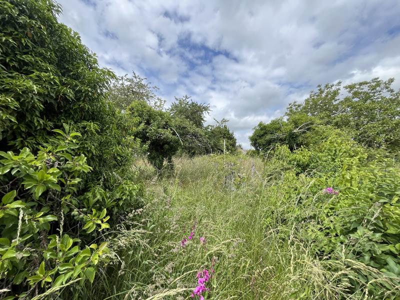 Vente Maison CHATEAUNEUF SUR CHER - 2 pièces -73 m² - (18190)