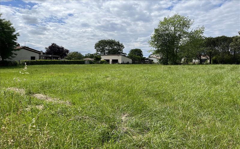 Vente Terrain FRONTON - -1490 m² - (31620)