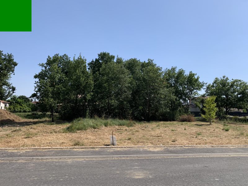 Vente Terrain FRONTON - -563 m² - (31620)