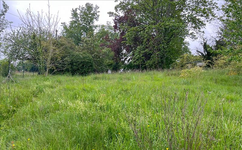 Vente Terrain EXCIDEUIL - -1550 m² - (24160)