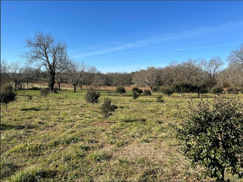 Vente Terrain ST GERMAIN DES PRES - -3895 m² - (24160)