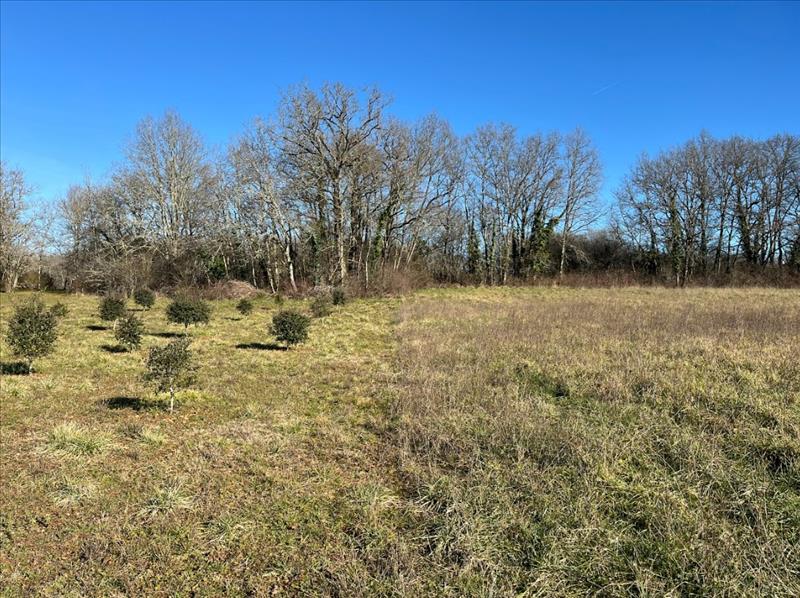 Vente Terrain ST GERMAIN DES PRES - -3895 m² - (24160)
