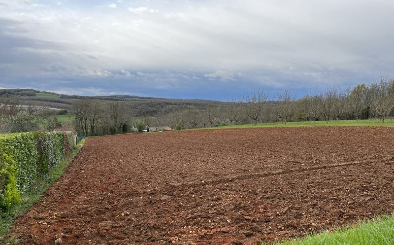 Vente Terrain ST MARTIAL D ALBAREDE - -4247 m² - (24160)