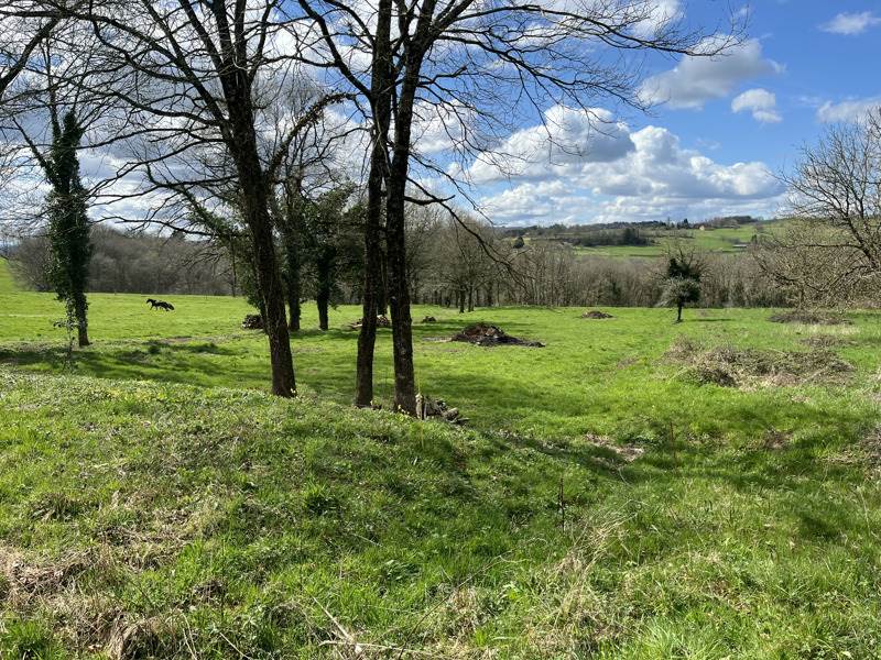 Vente Grange GENIS - 1 pièce -253 m² - (24160)