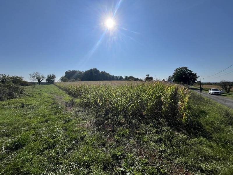 Vente Terrain ST SULPICE D EXCIDEUIL - -1958 m² - (24800)