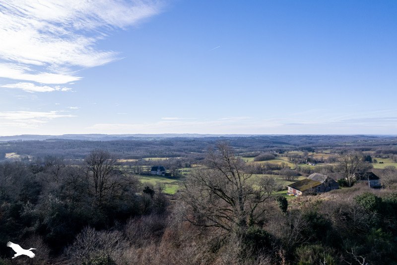 Vente Maison SALAGNAC - 11 pièces -281 m² - (24160)
