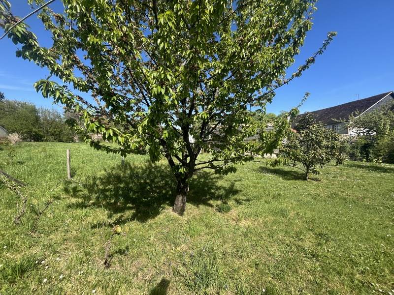 Vente Maison LANOUAILLE - 7 pièces -144 m² - (24270)