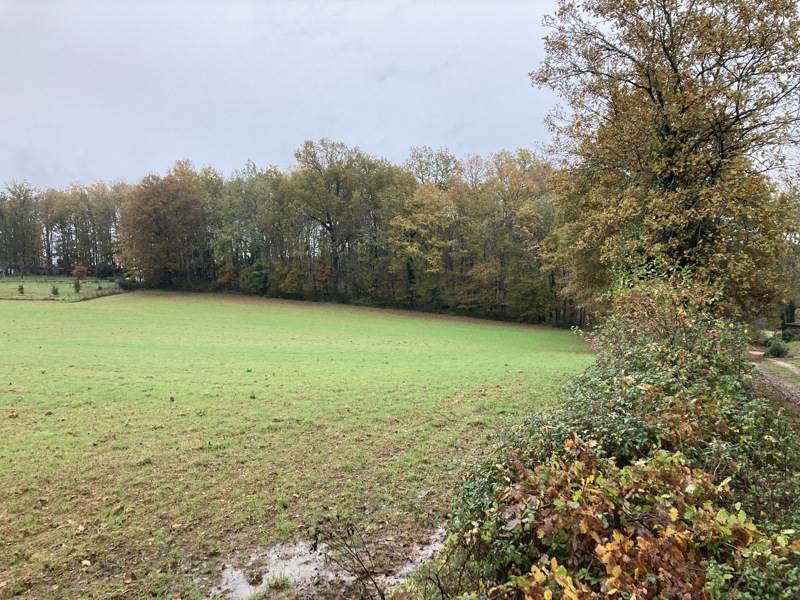 Vente Terrain TOURTOIRAC - -14140 m² - (24390)