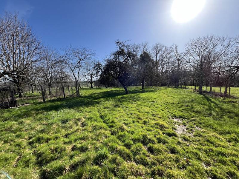 Vente Maison PREYSSAC D EXCIDEUIL - 5 pièces -80 m² - (24160)