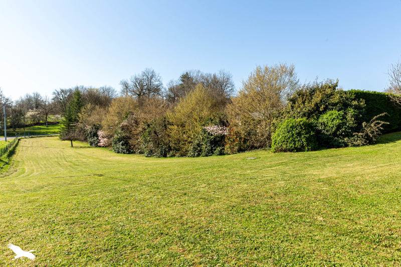 Vente Maison ST GERMAIN DES PRES - 7 pièces -149 m² - (24160)