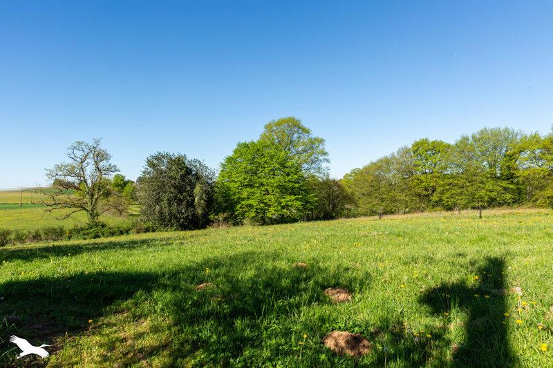 Vente Maison Saint-Mesmin - 5 pièces -130 m² - (24270)