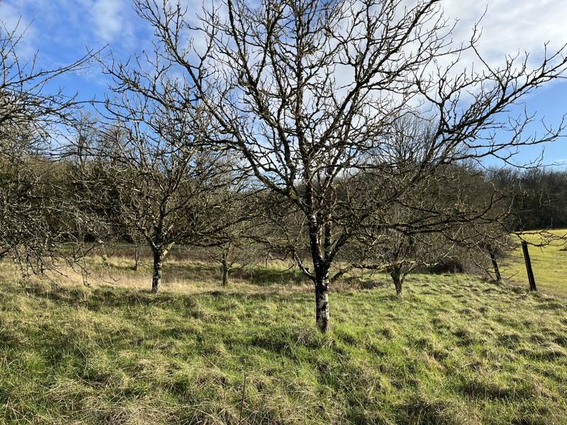 Vente Maison ST JORY LAS BLOUX - 2 pièces -24 m² - (24160)