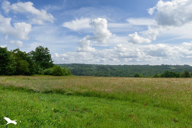 Vente Maison ST MESMIN - 5 pièces -146 m² - (24270)