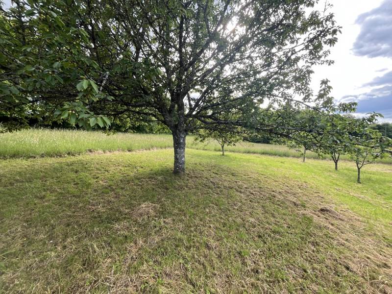 Vente Maison ST MARTIAL D ALBAREDE - 5 pièces -96 m² - (24160)