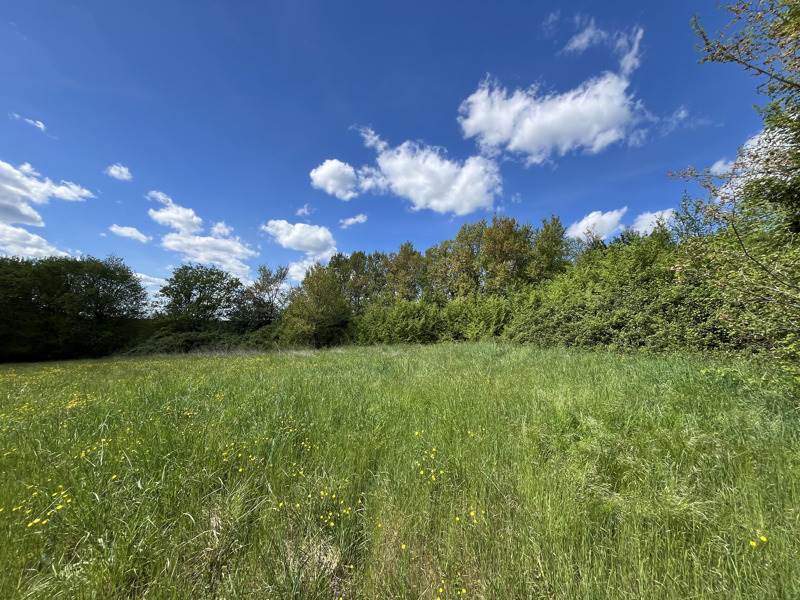 Vente Maison CHOURGNAC - 5 pièces -120 m² - (24640)