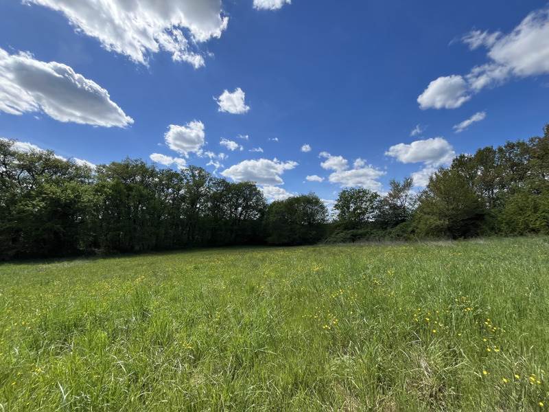 Vente Maison CHOURGNAC - 5 pièces -120 m² - (24640)