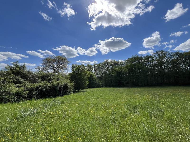 Vente Maison CHOURGNAC - 5 pièces -120 m² - (24640)