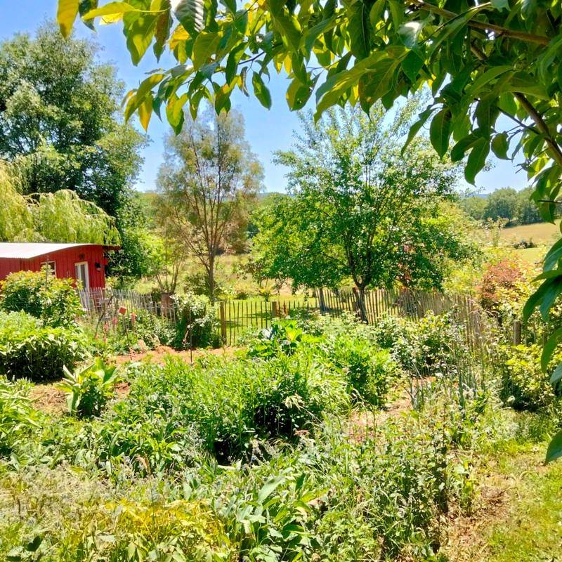 Vente Maison ST GERMAIN DES PRES - 5 pièces -145 m² - (24160)