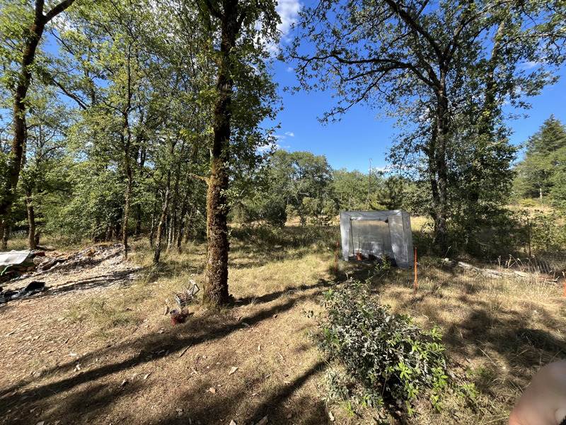 Vente Maison STE EULALIE D ANS - 1 pièce -25 m² - (24640)