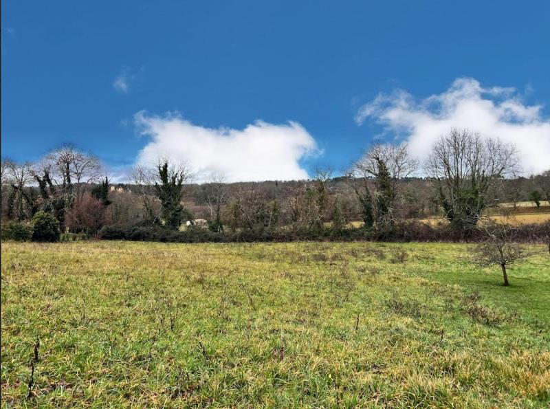 Vente Terrain COUX ET BIGAROQUE - -2176 m² - (24220)