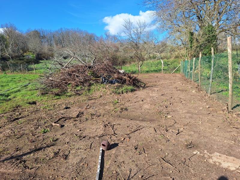 Vente Terrain ST PARDOUX ET VIELVIC - -1269 m² - (24170)