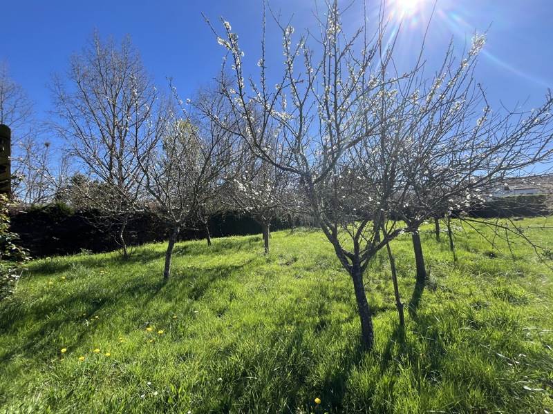 Vente Maison LE BUISSON DE CADOUIN - 5 pièces -107 m² - (24480)