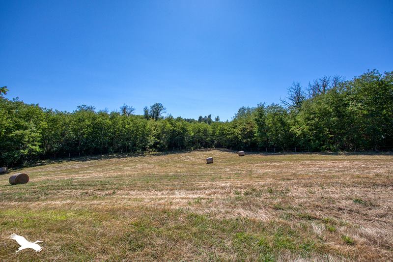 Vente Maison ST AVIT DE VIALARD - 5 pièces -111 m² - (24260)