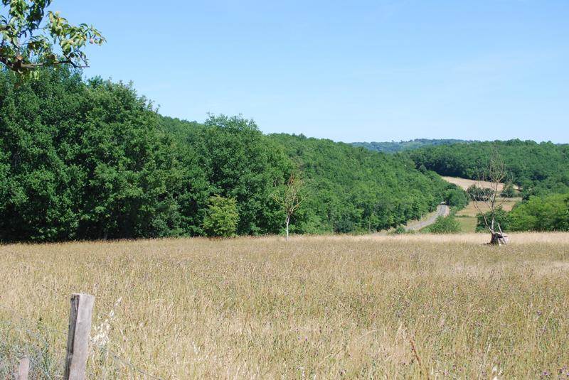 Vente Terrain CALES - -2539 m² - (24150)
