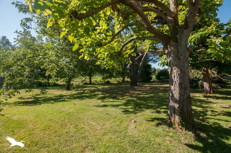 Vente Maison LALINDE - 4 pièces -89 m² - (24150)