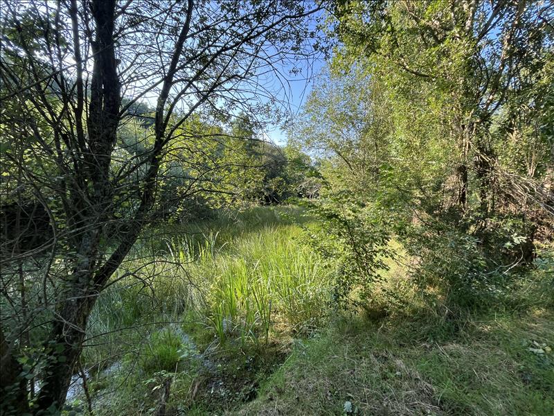 Vente Terrain LA CHATRE - -8967 m² - (36400)