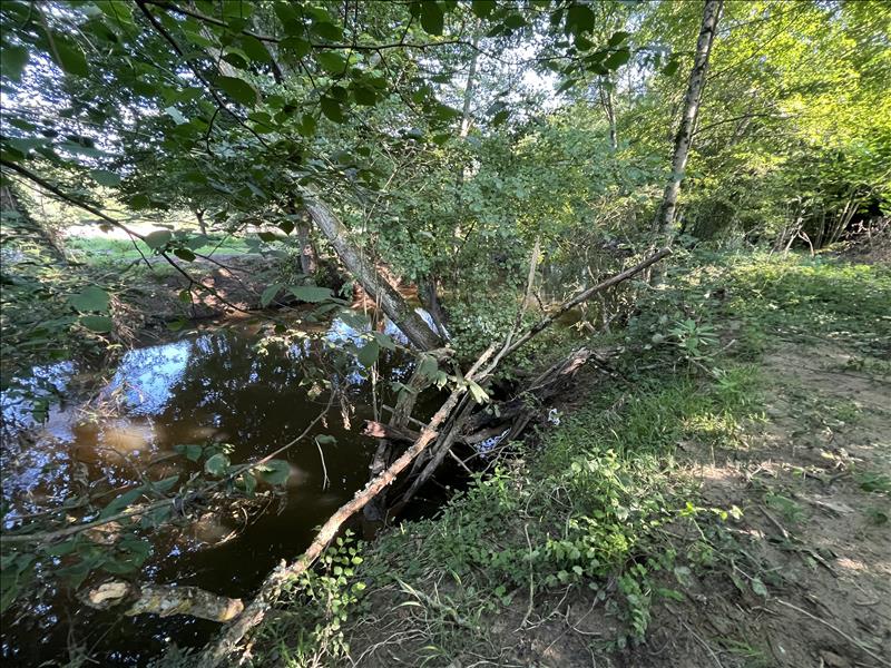 Vente Terrain LA CHATRE - -8967 m² - (36400)