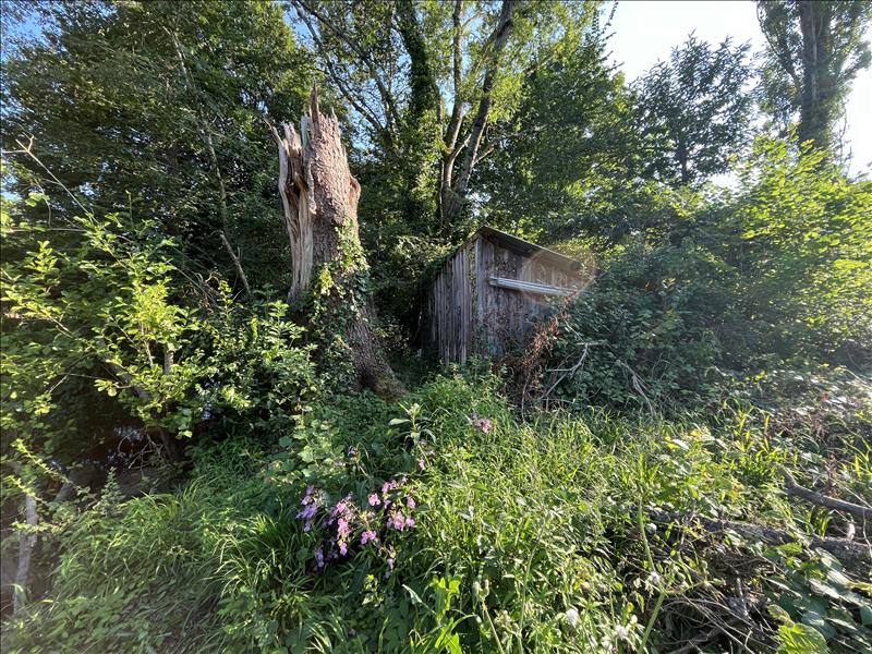 Vente Terrain LA CHATRE - -8967 m² - (36400)