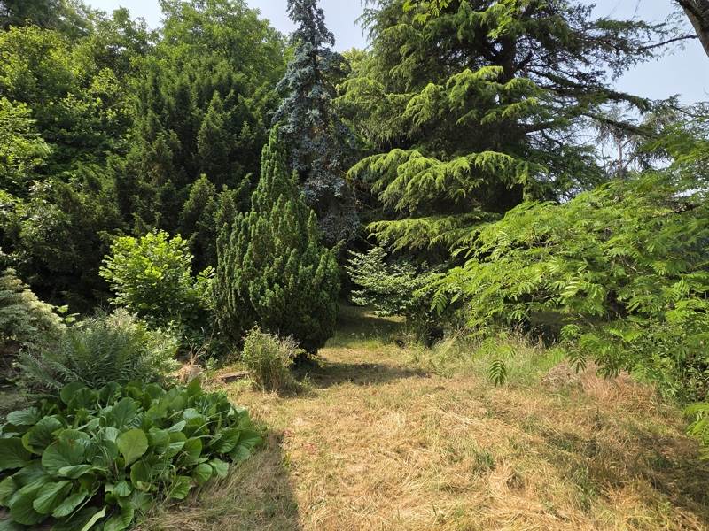 Vente Maison LA CHATRE - 7 pièces -162 m² - (36400)